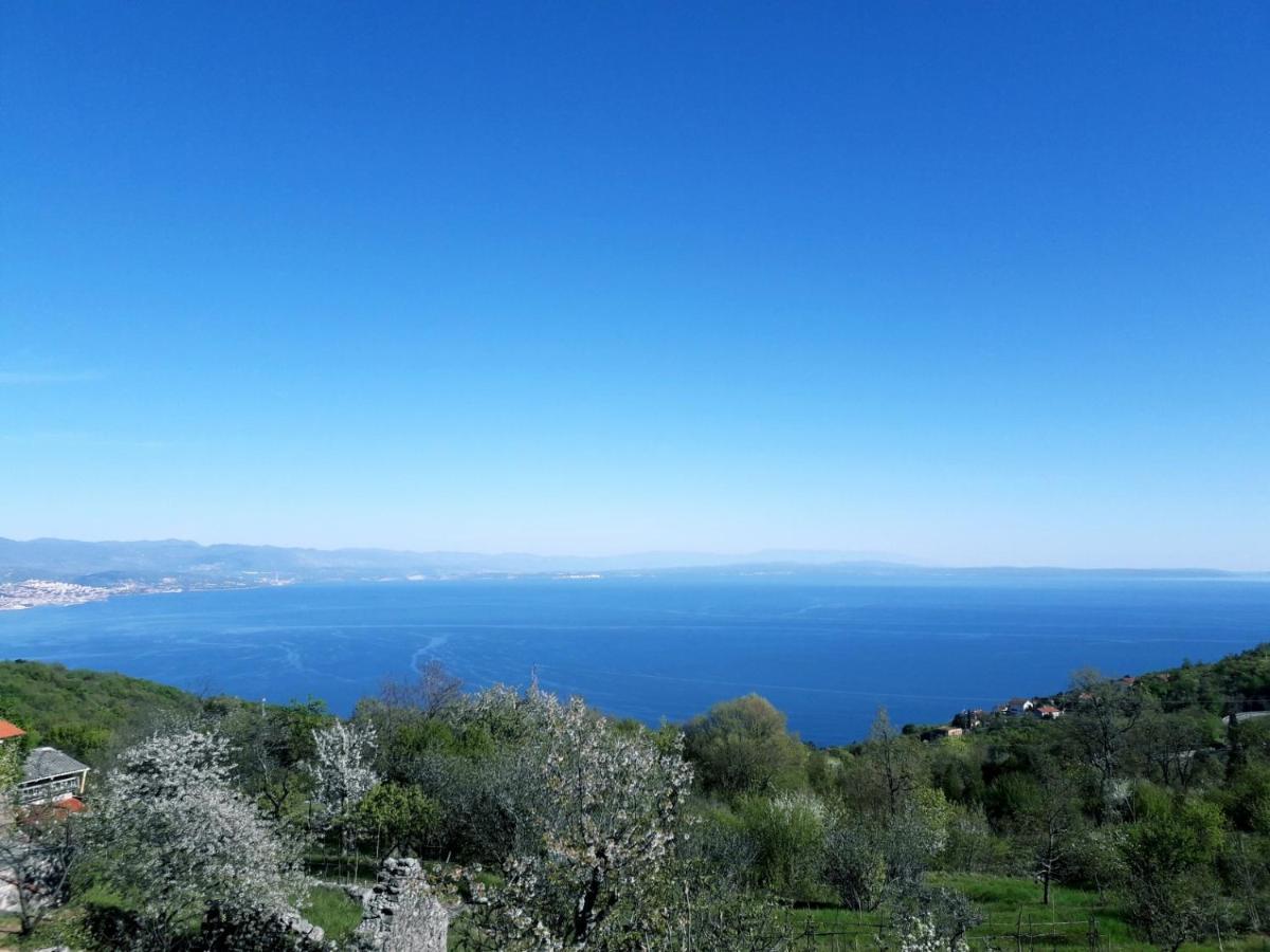 Kuca Maria Villa Veprinac Dış mekan fotoğraf